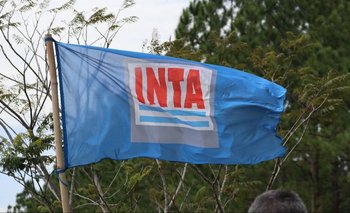 Cómo afecta el ajuste de Milei al INTA: todos los detalles | Inta