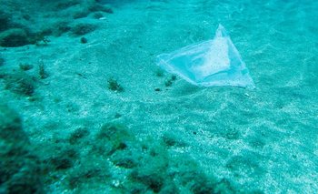 Bancos de desarrollo invertirán 3.000 millones de euros en la lucha contra los plásticos oceánicos | Onu