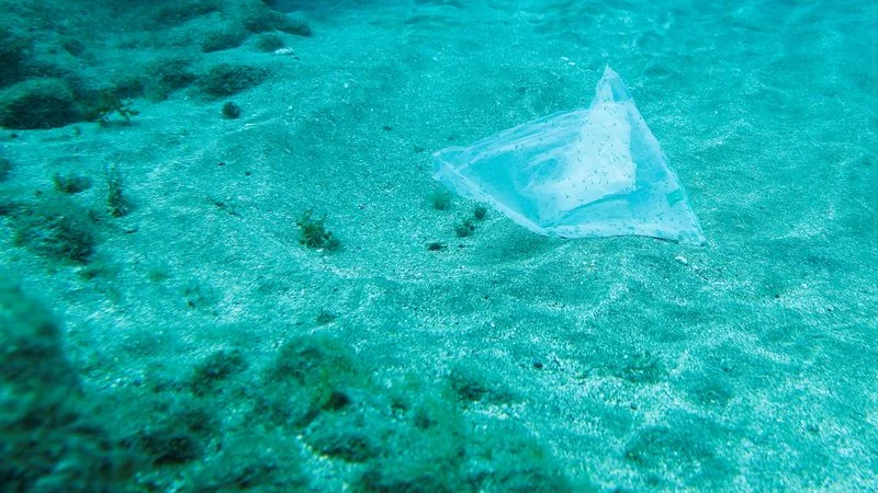 Bancos de desarrollo invertirán 3.000 millones de euros en la lucha contra los plásticos oceánicos