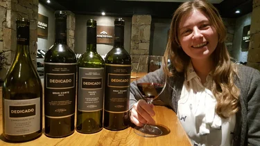 Conocé el 'Booking del vino' creado por una enóloga mendocina