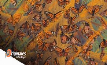 El viaje de la mariposa: un libro para chicos que cautiva los corazones adultos | Libros