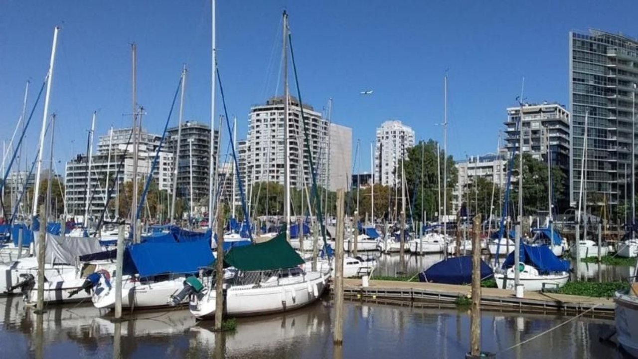 Cuál es la nueva atracción del Puerto de Olivos. 
