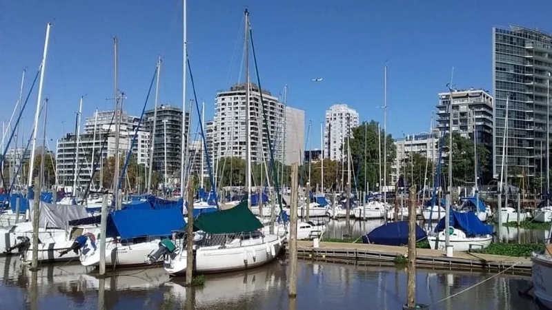 Cuál es la nueva atracción del Puerto de Olivos. 
