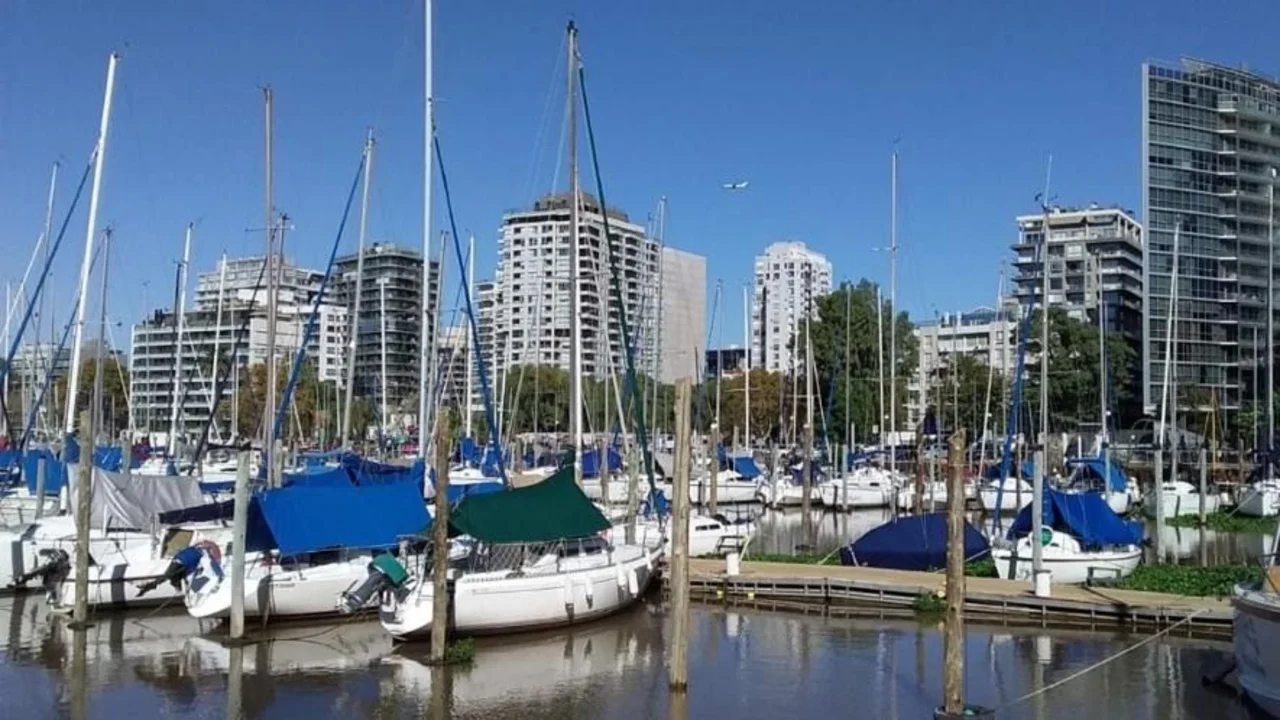 Cuál es la nueva atracción del Puerto de Olivos. 