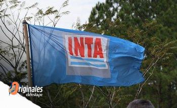 Milei eliminará por decreto un instituto clave y avanzan negocios inmobiliarios | Ajuste