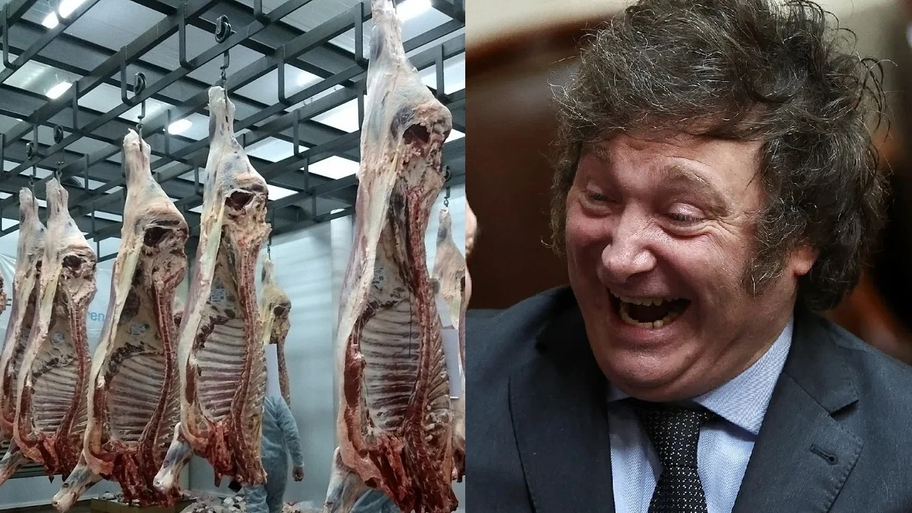Frigorífico y Javier Milei