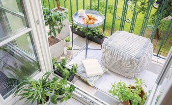 Jardines en macetas: la tendencia en plantas para este invierno | Plantas