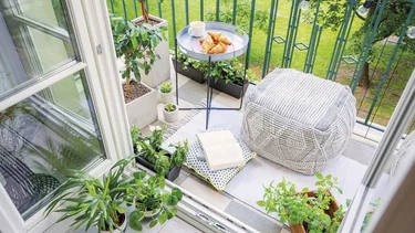 Jardines en macetas: la nueva tendencia en plantas para los que no tienen jardín