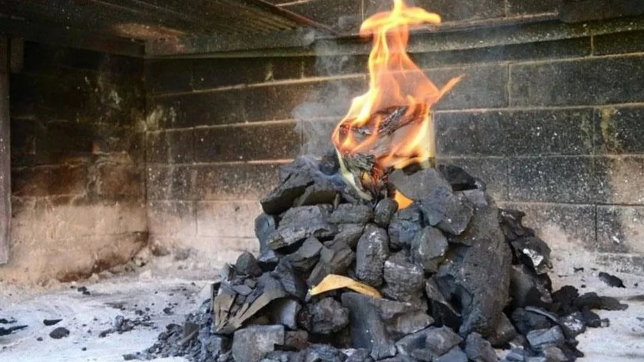 comida, asado, fuego, carbón, parrilla