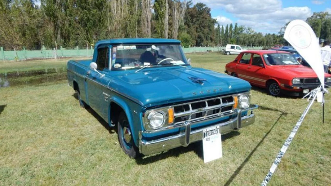 Dodge D-100
