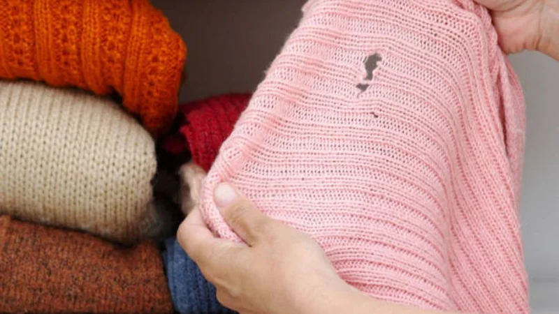 Cómo cuidar la ropa de las polillas. 