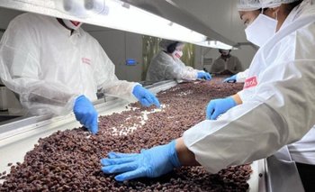 Quintela lanzó el Programa PIAR: los detalles del proyecto industrial | Industria