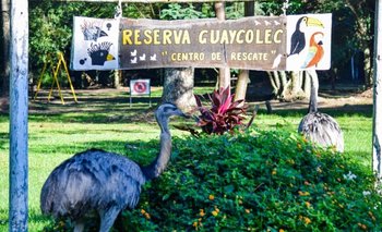 Guaycolec abrió este fin de semana largo para toda la familia | Vida silvestre