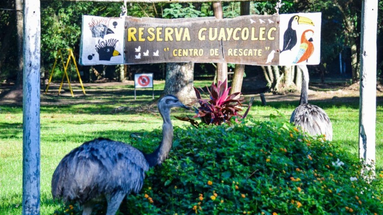 Guaycolec: la reserva natural formoseña abrió sus puertas este fin de semana largo para toda la familia