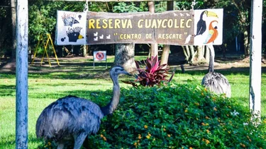 Guaycolec: la reserva natural formoseña abrió sus puertas este fin de semana largo para toda la familia