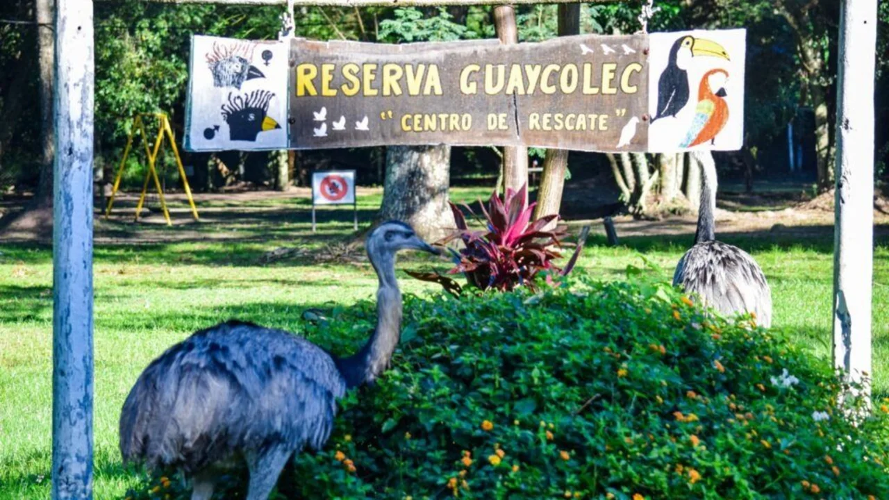 Guaycolec: la reserva natural formoseña abrió sus puertas este fin de semana largo para toda la familia
