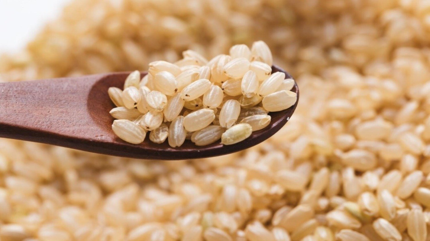 arroz, cremosidad, arroz cremoso