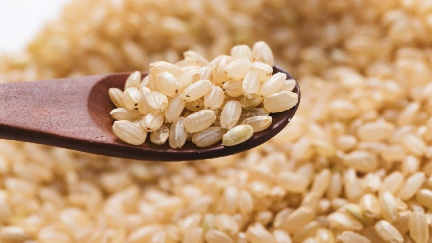 arroz, cremosidad, arroz cremoso