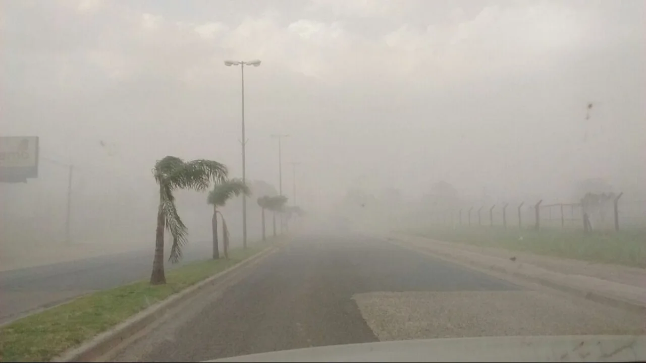 Alerta amarilla por vientos de hasta 110km/h: cuáles son las provincias afectadas este martes 17 de junio