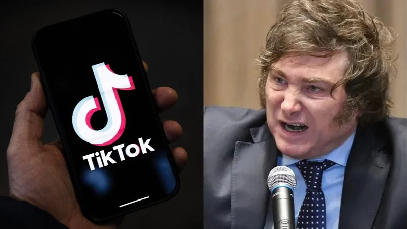 TikTok. Javier Milei.