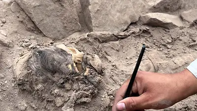 Hallan momia de al menos 900 años de antigüedad durante instalación de tuberías de gas en Perú Hallan momia de al menos 900 años de antigüedad durante instalación de tuberías de gas en Perú