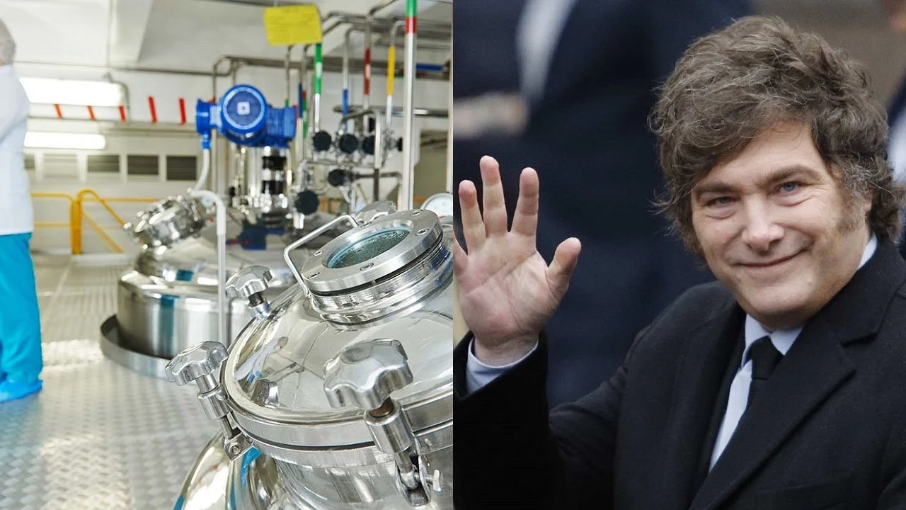 Química Javier Milei
