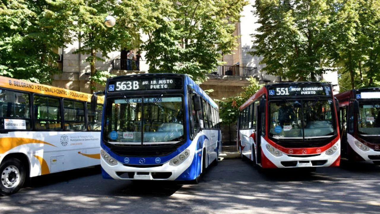 Colectivos de Mar del Plata