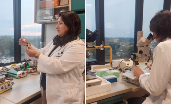 Avance científico argentino: logran prevenir los dolores causados por la quimioterapia | Salud