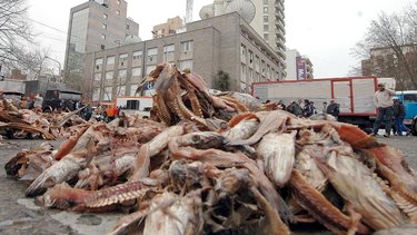 Pesca: flexibilización laboral e importación ponen contra las cuerdas a los trabajadores