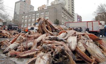 Pesca: la apertura de Milei pone contra las cuerdas a los trabajadores | Pesca