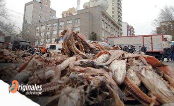 Pesca: la apertura de Milei pone contra las cuerdas a los trabajadores | Pesca