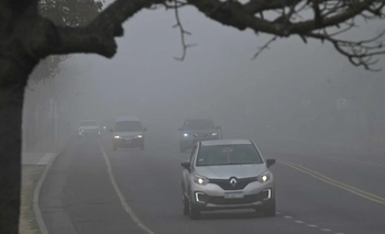 ALERTA por neblina en Santa Fe y Rosario: cómo sigue este domingo | Pronóstico del tiempo