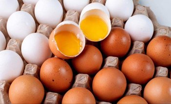 Huevo blanco o colorado: diferencias, mitos y verdades | Huevos