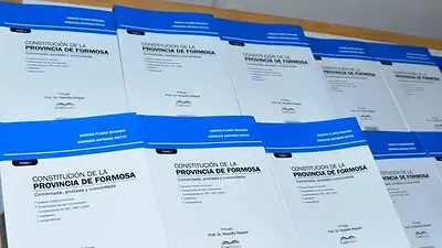 Para garantizar la aplicación total, se capacitó a abogados del Estado en la nueva Constitución provincial Para garantizar la aplicación total, se capacitó a abogados del Estado en la nueva Constitución provincial