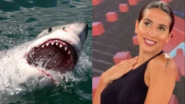 Impacto en la televisión por lo que le pasó a Cinthia Fernández: "Un tiburón"