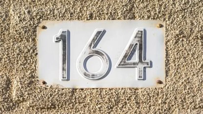 Numerología 164