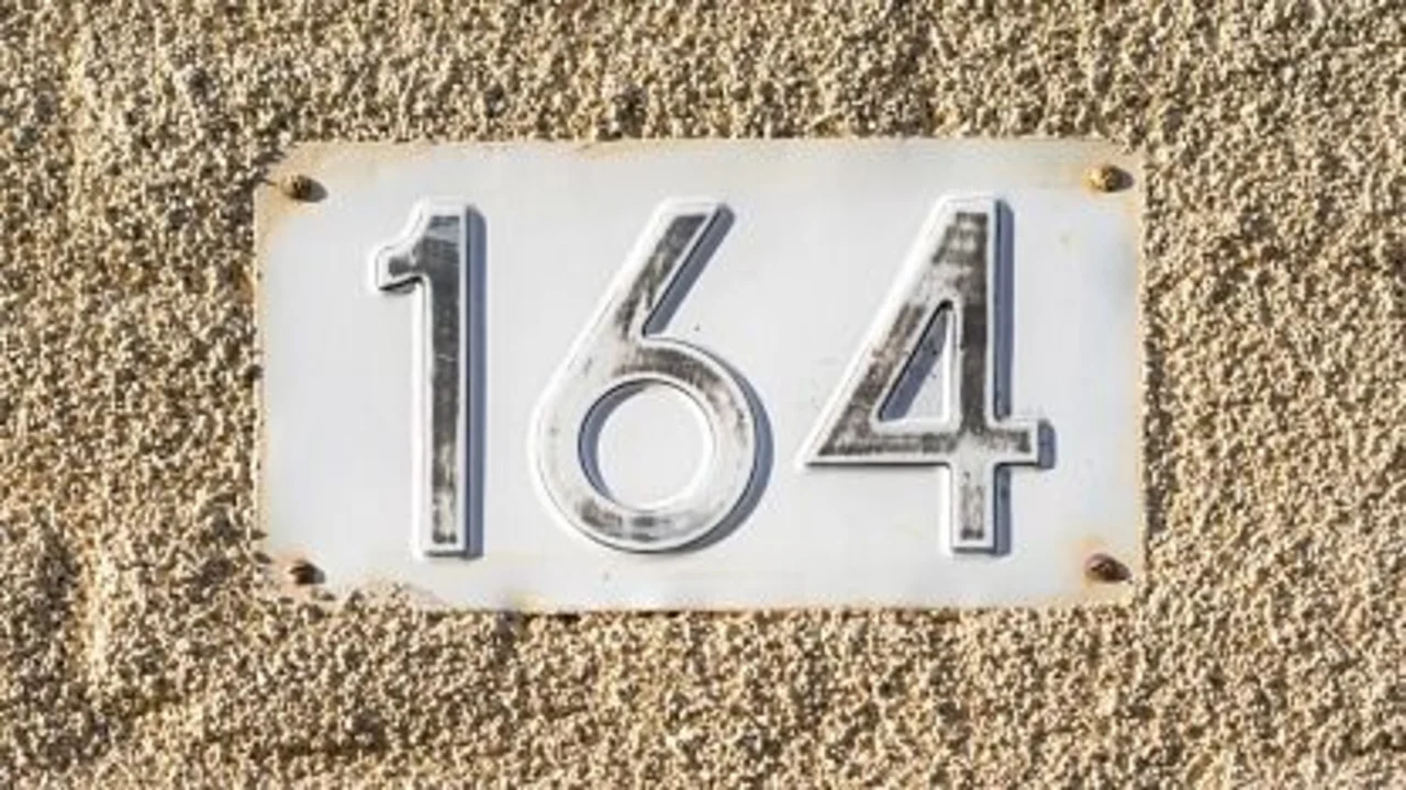 Numerología 164