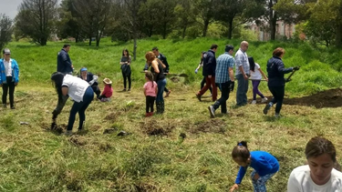 Proponen un nuevo “índice de relación con la naturaleza” para promover acciones de respeto hacia la vida no humana