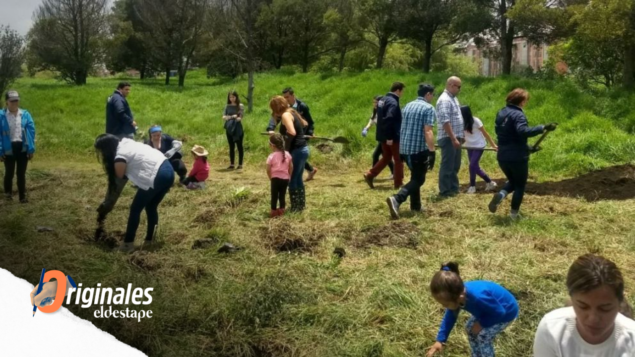 Proponen un nuevo “índice de relación con la naturaleza” para promover una convivencia respetuosa con la vida no humana