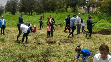Proponen un nuevo “índice de relación con la naturaleza” para promover acciones de respeto hacia la vida no humana