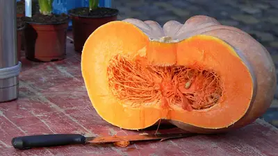 Cáscaras de calabaza Cáscaras de calabaza