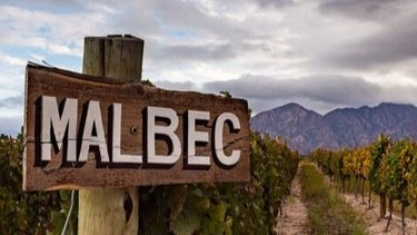 Ni Mendoza ni San Juan: la flamante ruta del vino argentino que es una "maravilla oculta" del turismo