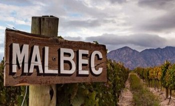 La ruta del vino argentino que es una "maravilla oculta" del turismo | Escapadas