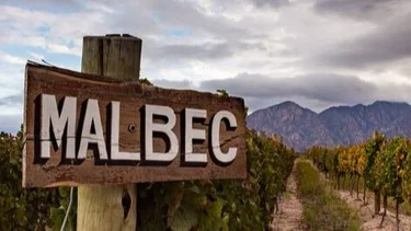 Ni Mendoza ni San Juan: la flamante ruta del vino argentino que es una "maravilla oculta" del turismo