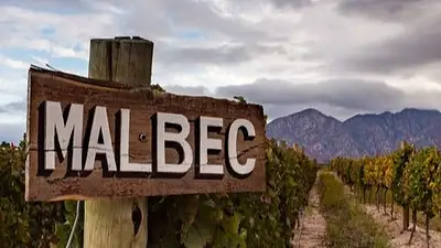 Ruta del vino La Rioja Ruta del vino La Rioja