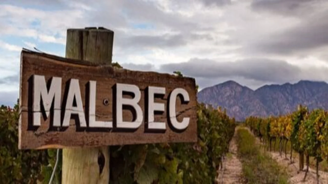 Ruta del vino La Rioja