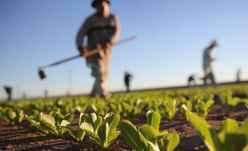El PAIPPA acompaña a los productores frente a las bajas temperaturas | Productores