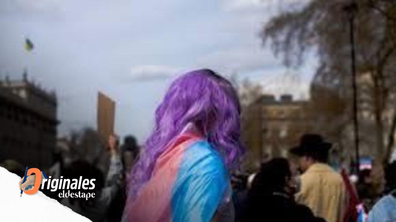 Milei pone en riesgo a la comunidad trans: 10% transicionó sin médicos y se expuso a graves problemas de salud
