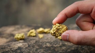 Descubrió un tesoro millonario en su patio, pero un insólito motivo lo dejó sin nada