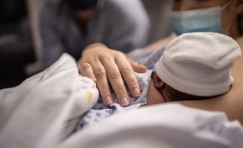 Tasa de natalidad: Formosa es una de las provincias con menor caída | El destape formosa